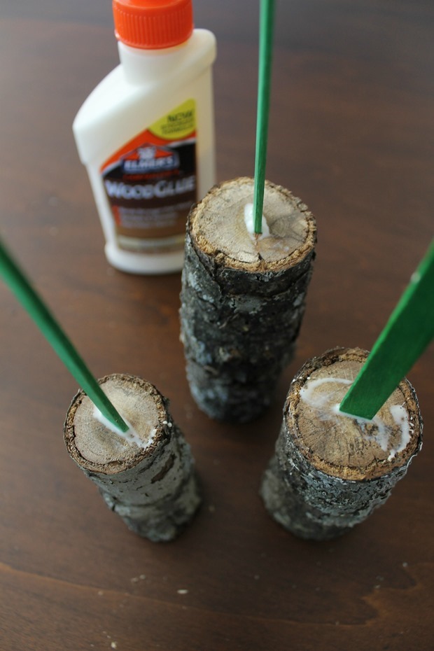 tree trunks with sticks