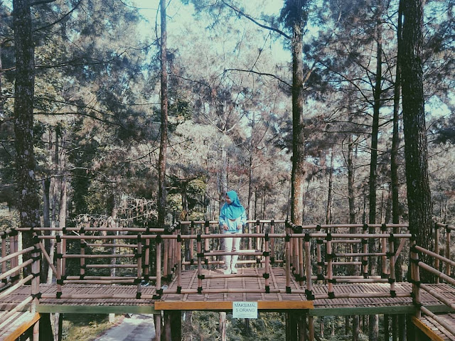 Wisata Batang Sikembangpark