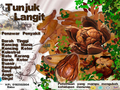 Touch up gambar anda: Mahogany Fruit (Tunjuk Langit)