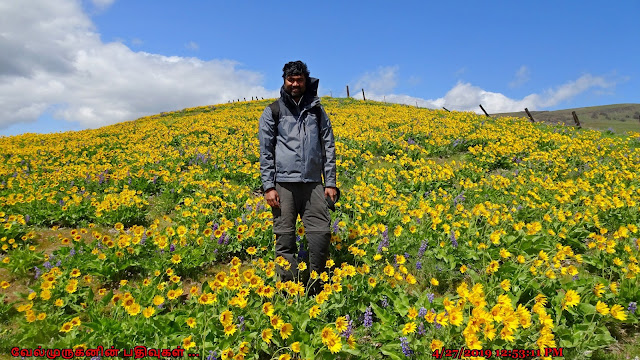 Dalles Mountain Ranch Hike