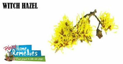 Home Remedies To Abbreviate Pimple Redness: Witch Hazel