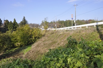 DSC 0208