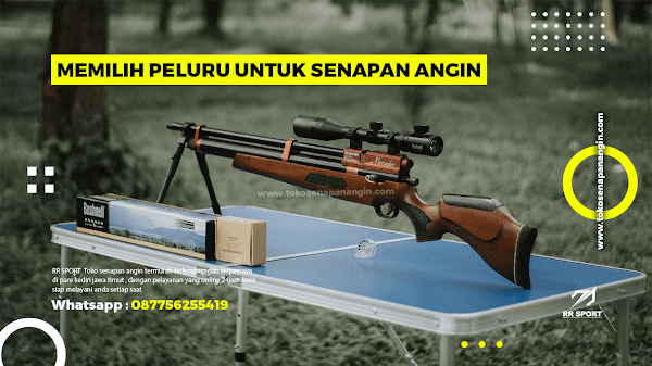 Memilih Peluru Untuk Senapan Angin