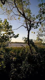 A glimpse of the Mississippi river through trees and brush