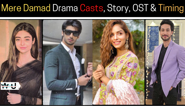 Mere Damad Drama Casts, Story, OST & Timing