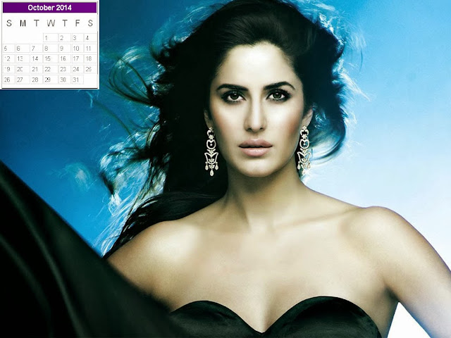 Katrina Kaif Calendar 2014