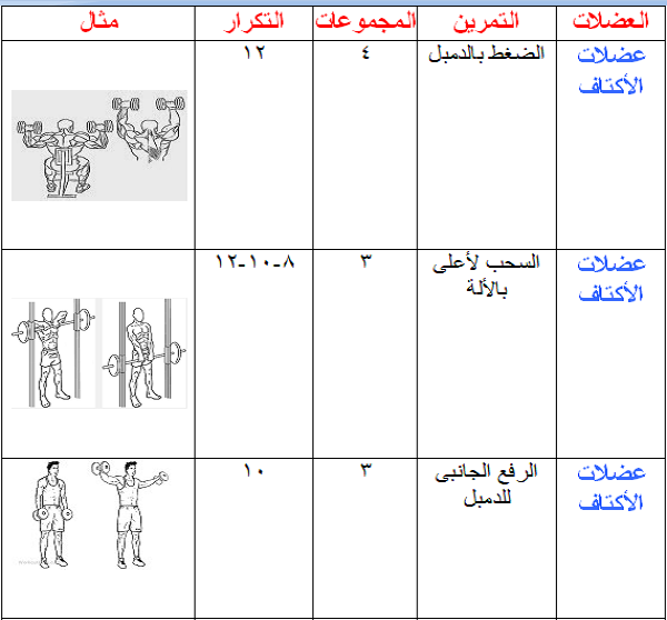 برنامج تدريب جيم للمبتدئين فى 4 أسابيع فقط