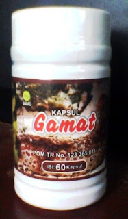 gamat-an naba,kapsul