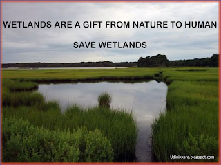 <imgsrc="http://udinikkara.blogspot.com/image.jpg" alt="world wetland day" … />