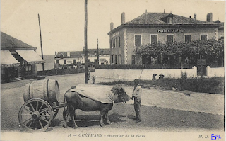 pays basque autrefois vin boeufs