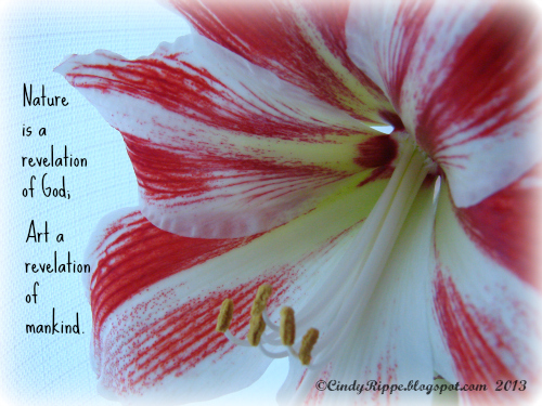 Amaryllis, Macro image of Amaryllis, Nature is a revelation of God, Henry Wadsworth Longellow, Macro photography, Cindy Rippe, Botantical Art