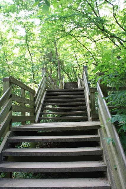 Wooden Stairs at Starved Rock