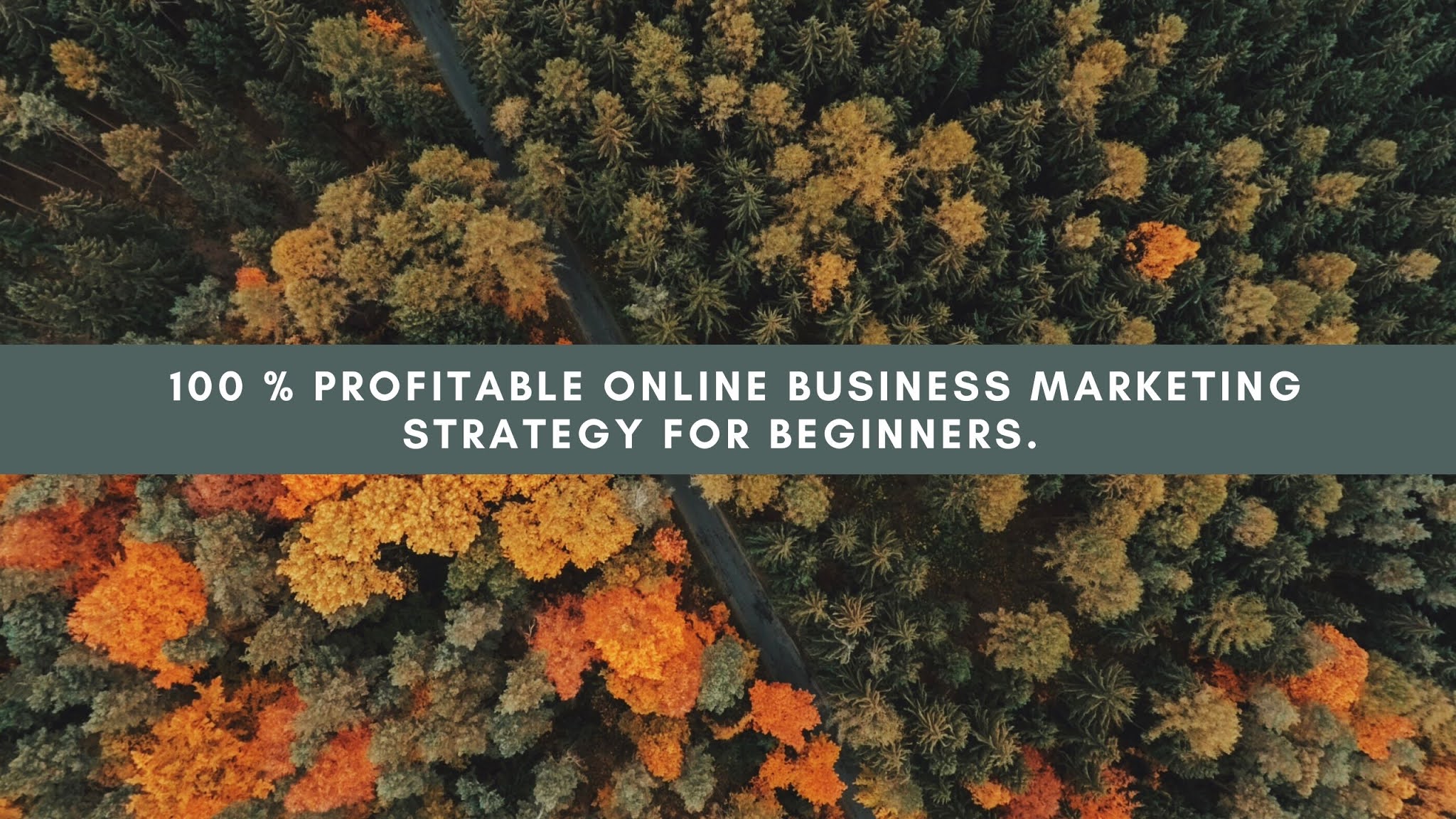 online marketing plan for online business