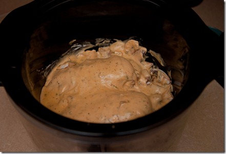 slowcookerangelchicken4