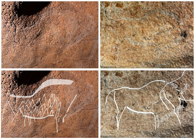  H5N1 serial of prehistoric cave paintings has been uncovered inwards the Basque Country 14,500-year-old cave paintings discovered inwards Spain