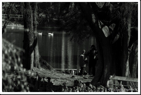 bw100
