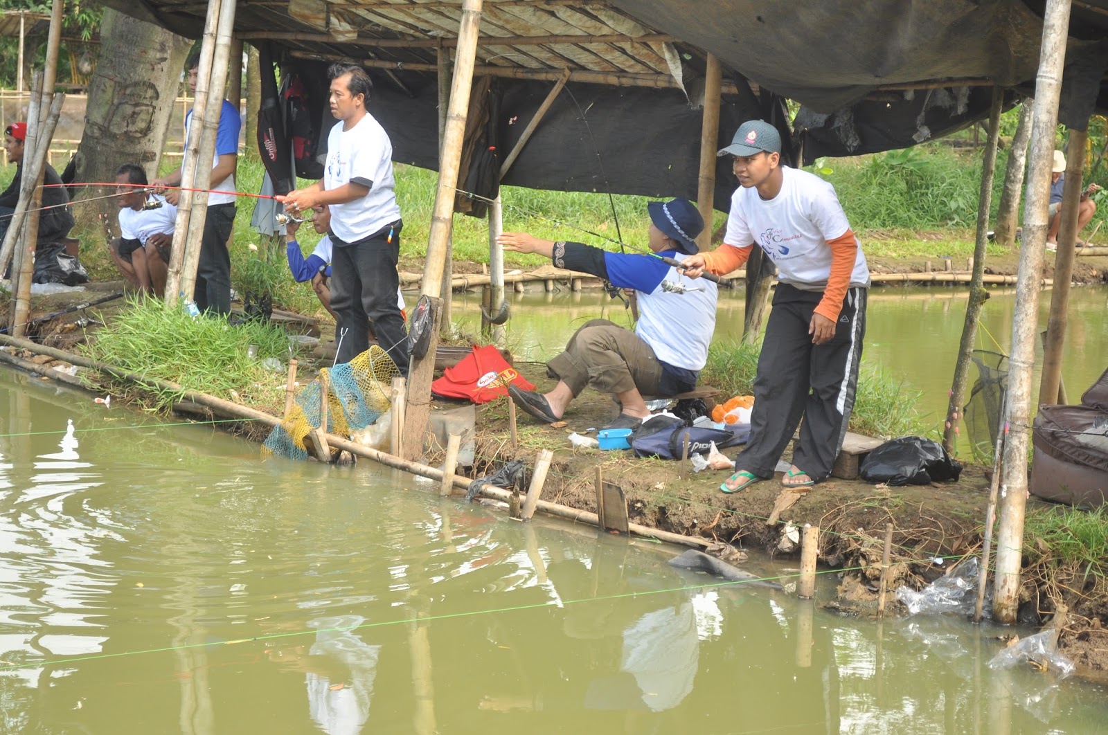 Bahan dan Cara Membuat Umpan Mancing Ikan  Mas di Air Keruh 