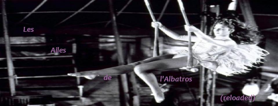 Albatros Reloaded
