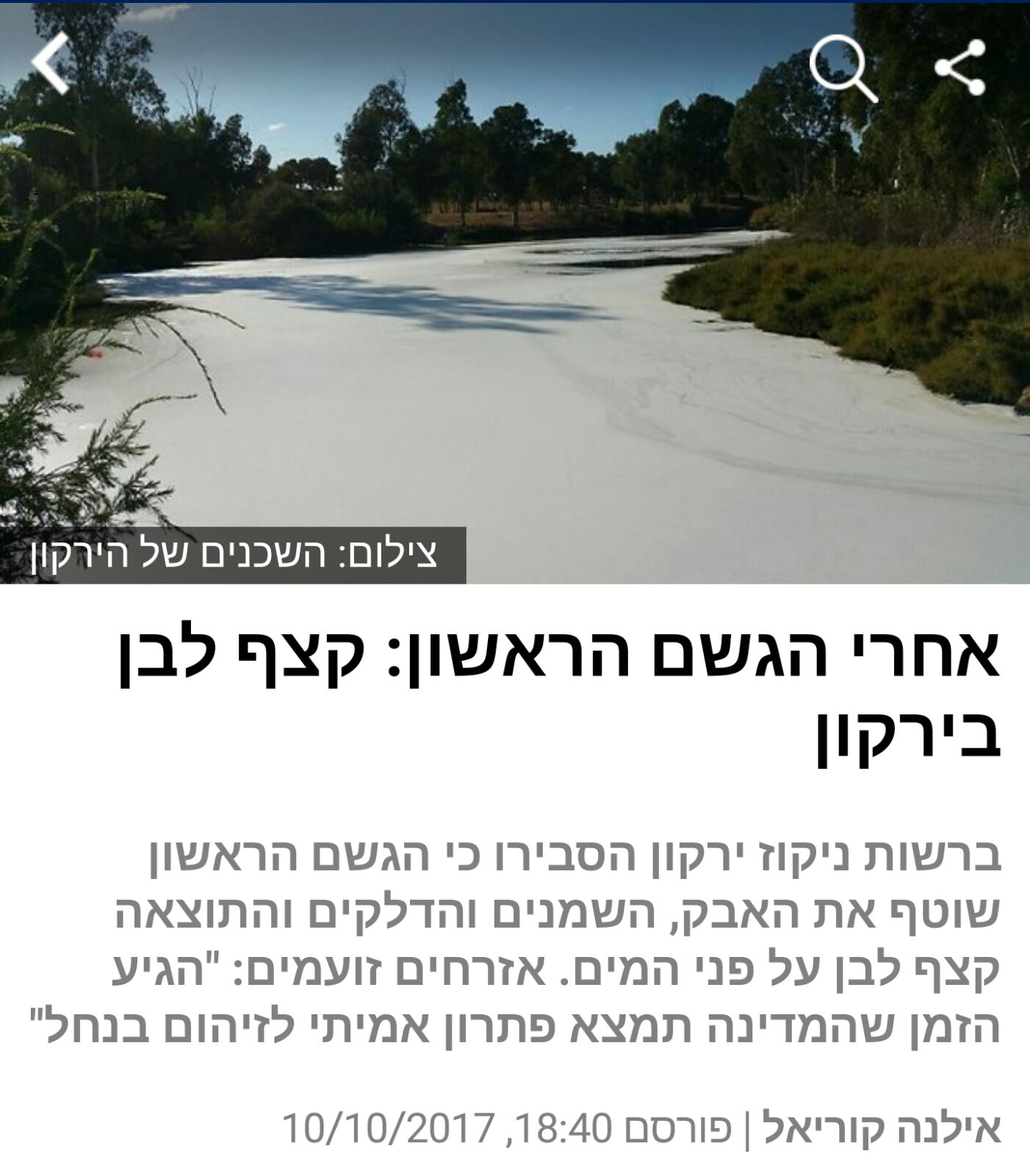השכנים של הירקון