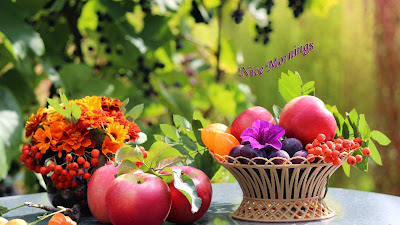 apples-in-the-basket-nice-mornings