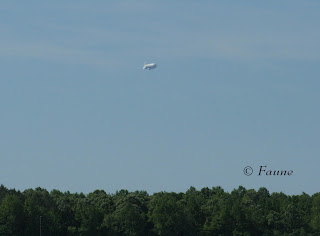 Airship over Currituck