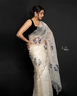 Actress Priyamani new looks in beautiful saree pics