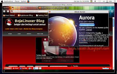 Mozilla Firefox 5.0 Aurora