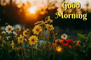 Good morning sunrise images