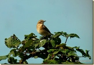 IMG_20140908_140336
