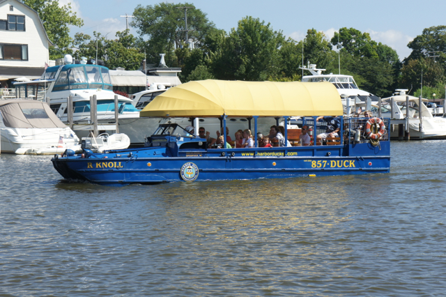 Saugatuck Duck