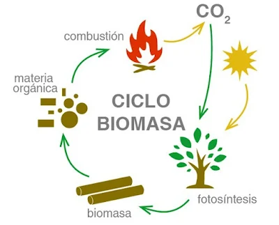 Proses Terbentuk Biomassa