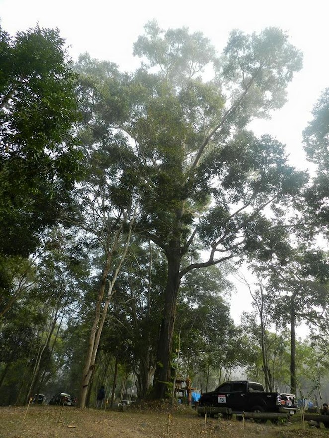 trekking in khun khan national park, khun khan national park, khunkhan national park, kun kan national park, kunkan national park, khun khan, kun kan, khunkhan