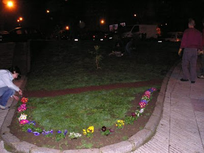 Guerrilla Gardening en Oviedo