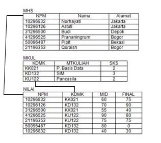 PENGERTIAN DATABASE RELATIONAL, MULTIDIMENSIONAL DATABASE 