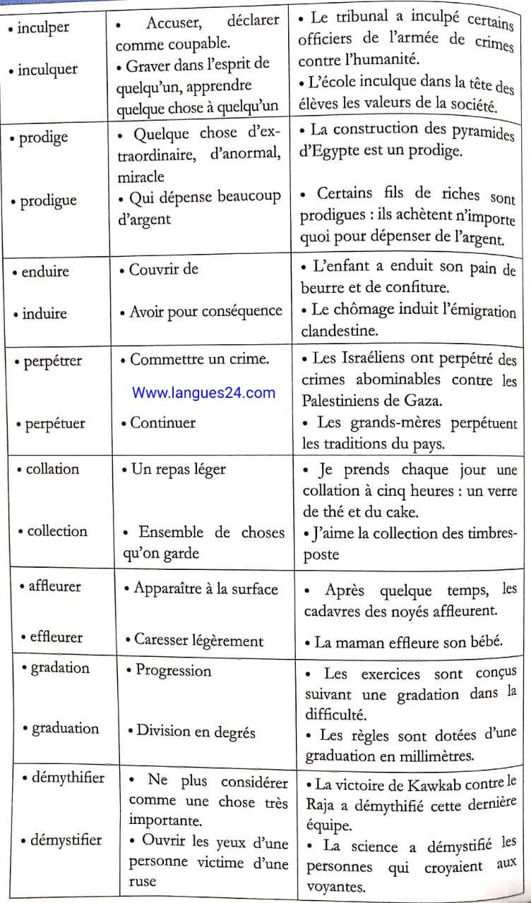 paronymes exercices cm2