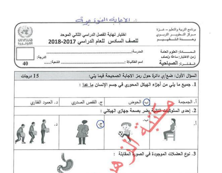 اختبار نهاية الفصل الثاني في العلوم والحياة للصف السادس صباحي (مجاب)