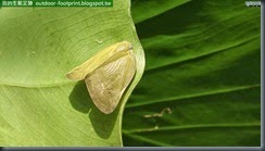 20140808_110410_054_FuYang_Park
