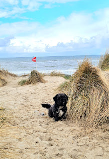 Mit Hund am Strand