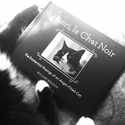 Catsparella Book Review Henri Le Chat Noir The