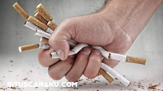 Waspada Dengan Asap Rokok Terhadap Anak anak | Lindungi Mereka