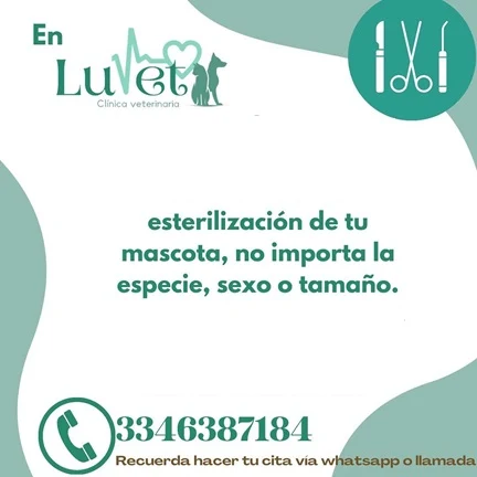 Servicio de Esterilización