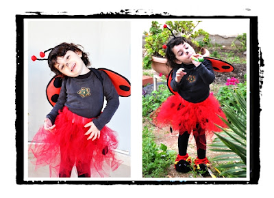 ladybug costume for Purim