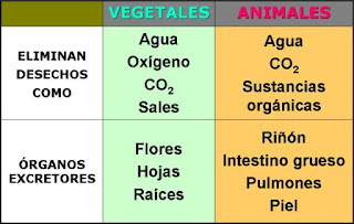 eliminación de desechos en animales y vegetales