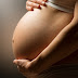 Saúde alerta gestantes sobre os cuidados preventivos para Febre Oropouche.