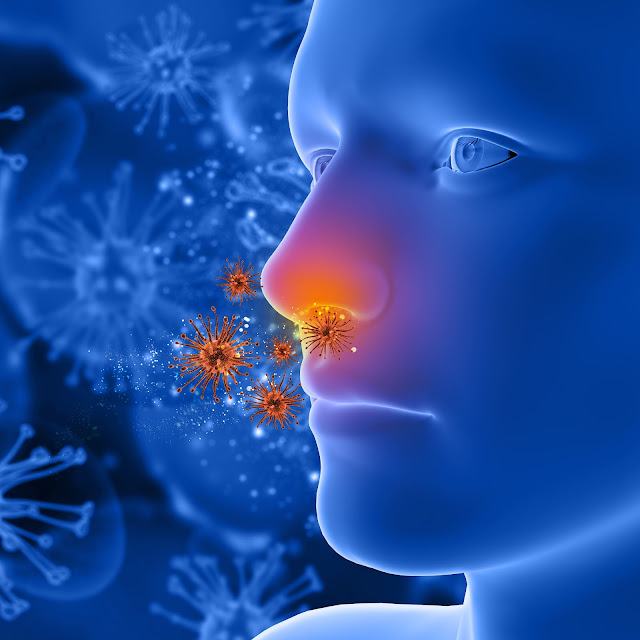 symptoms of sinus infection in adults