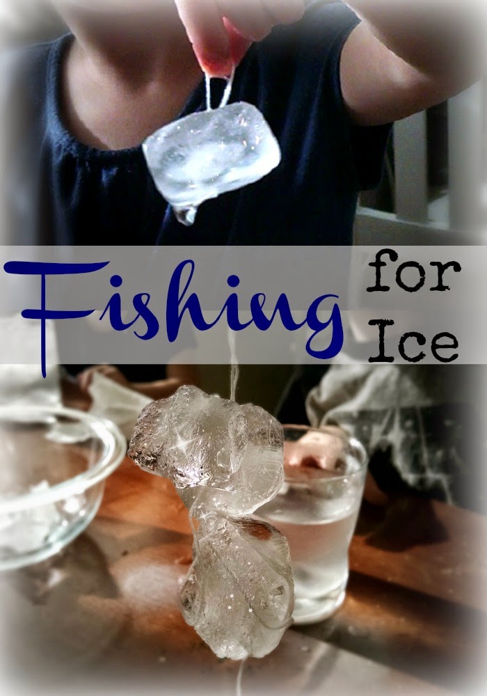 Why Does Salt Melt Ice | Simple Kitchen Chemistry for Kids