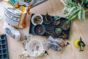7 must-have items for growing a garden