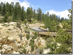Dick on Hell's BB Bridge