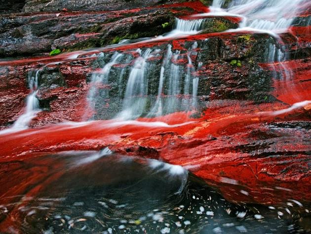  بحيرات واترتون الحديقة الوطنية في ألبرتا (كندا). الصورة من قبل Michael Melford