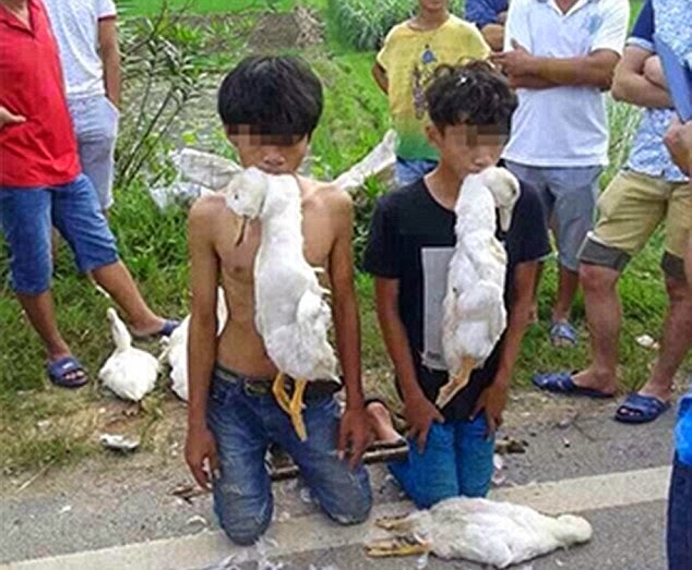 Foto Remaja Dipaksa Makan Itik Hidup Kerana Mencuri Saluran Informasi Anda